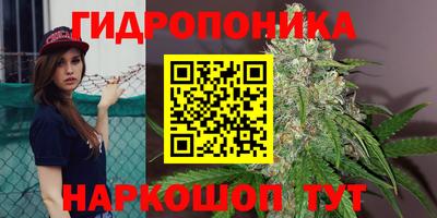 наркотики Сланцы