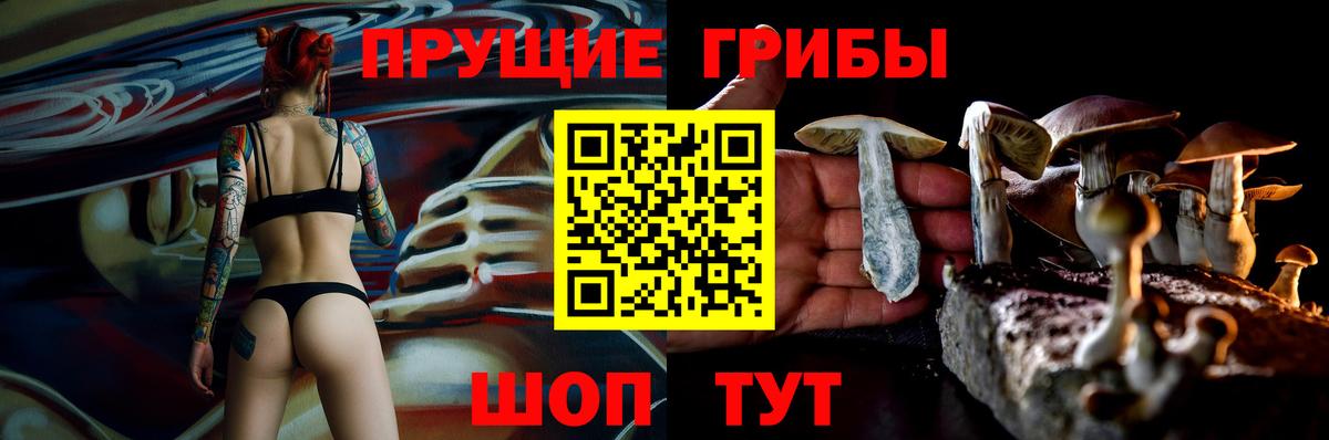 Галлюциногенные грибы прущие грибы  Вход с VPN  Псилоцибиновые грибы Psilocybe  Татарск 